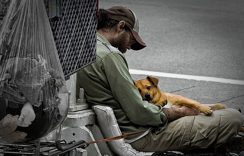 homeless-dog-9 (1)